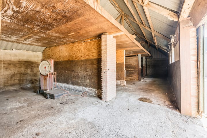 Foto 73 van Schapendrift 9