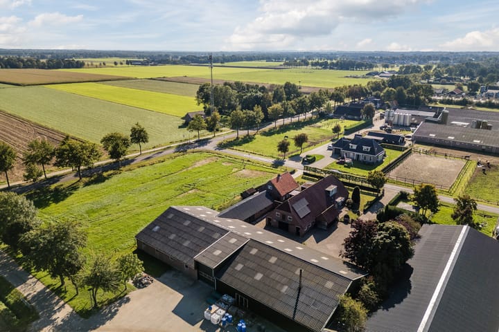 Foto 81 van Schapendrift 9