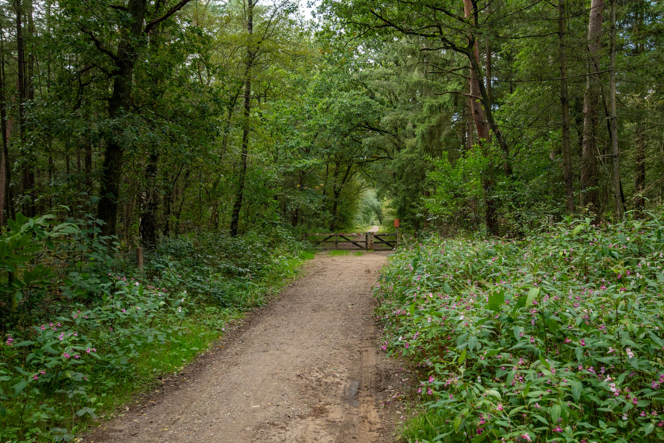 Photo 45 of Koudhoornseweg 29