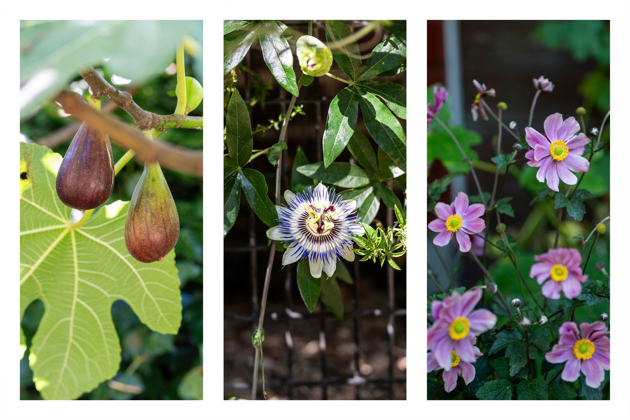 Foto 24 van Rijksstraatweg 132