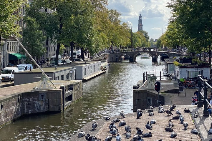 Photo 22 of Westerdoksdijk 513