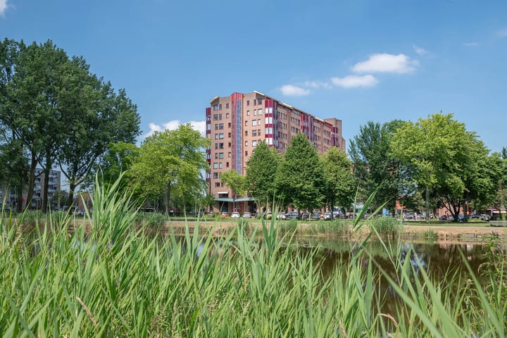 Foto 21 van Leonard Springerlaan 121