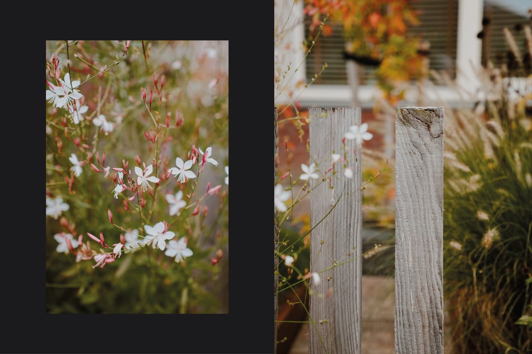 Foto 7 van F.A. Wonninkstraat 32