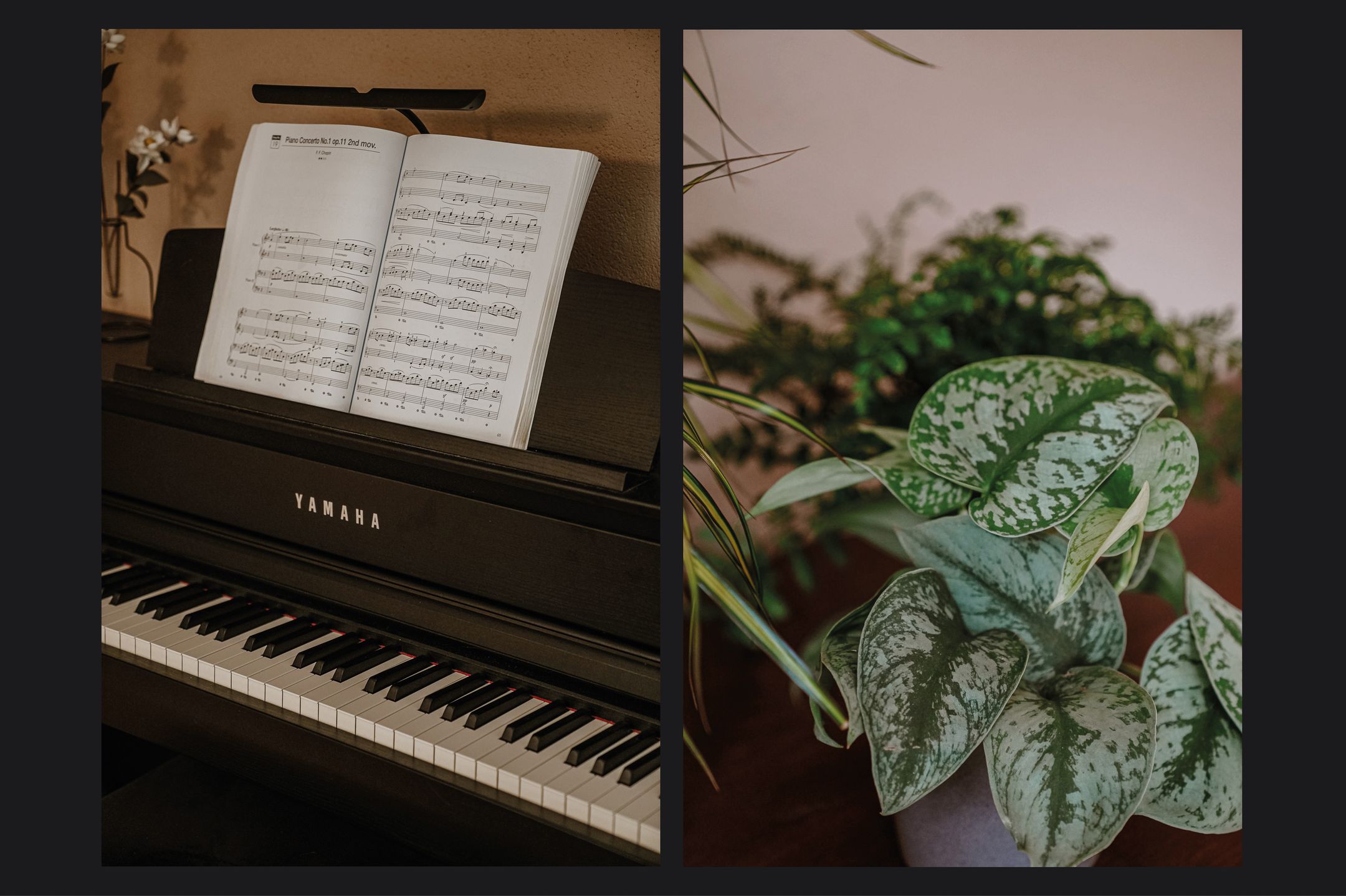 Foto 12 van F.A. Wonninkstraat 32