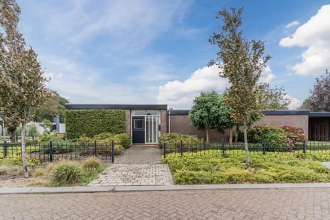 undefined main image