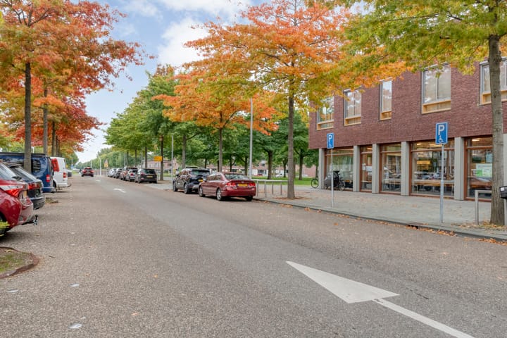 Foto 36 van Werkerlaan 103