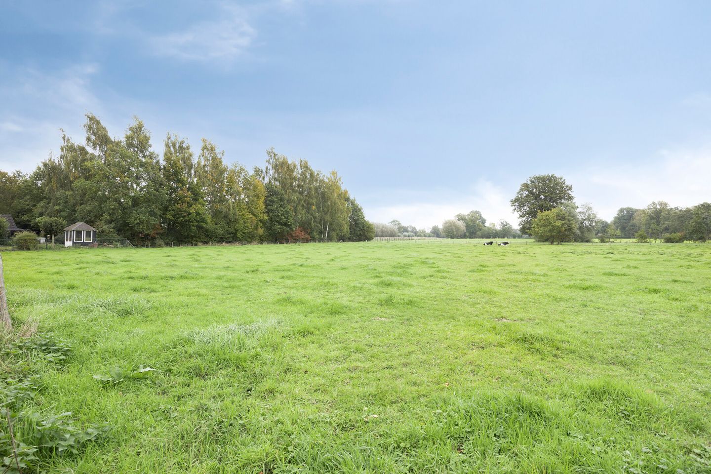 Photo 34 of Goudenregenstraat 38