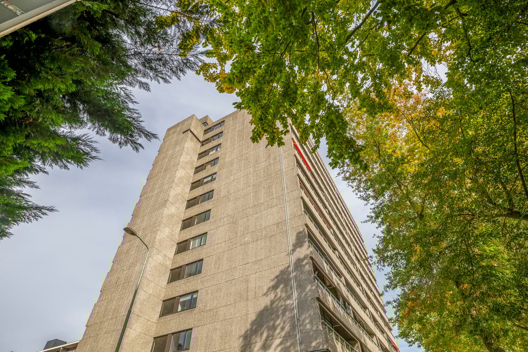 Foto 8 van Elzentlaan 99