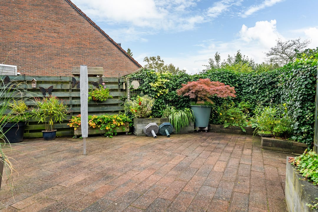 Foto 22 van De Excelsior 113