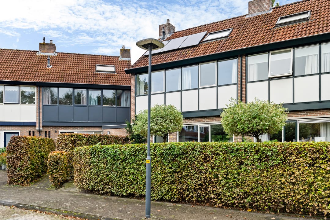 Foto 37 van De Excelsior 113