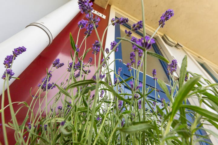 Foto 11 van Vasco da Gamalaan 151