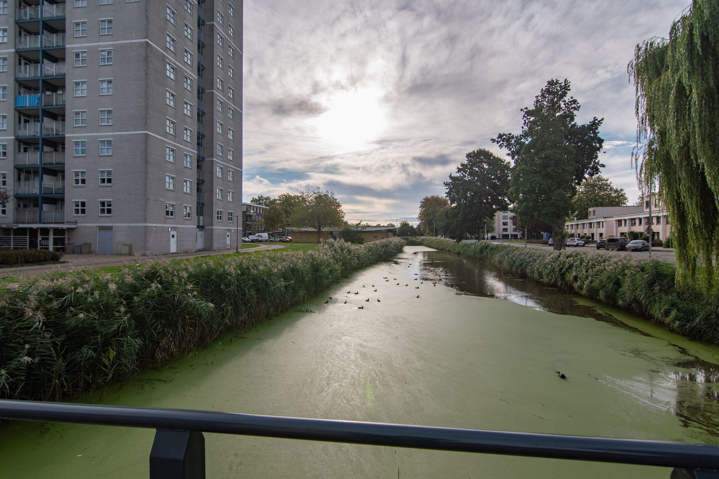 Foto 19 van Granietgroen 135