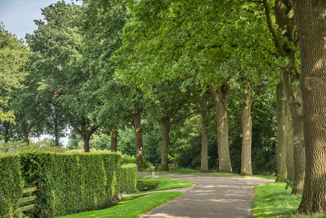 Foto 37 van Bijenlaan 4