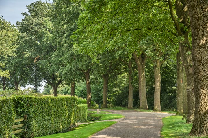 Foto 37 van Bijenlaan 4