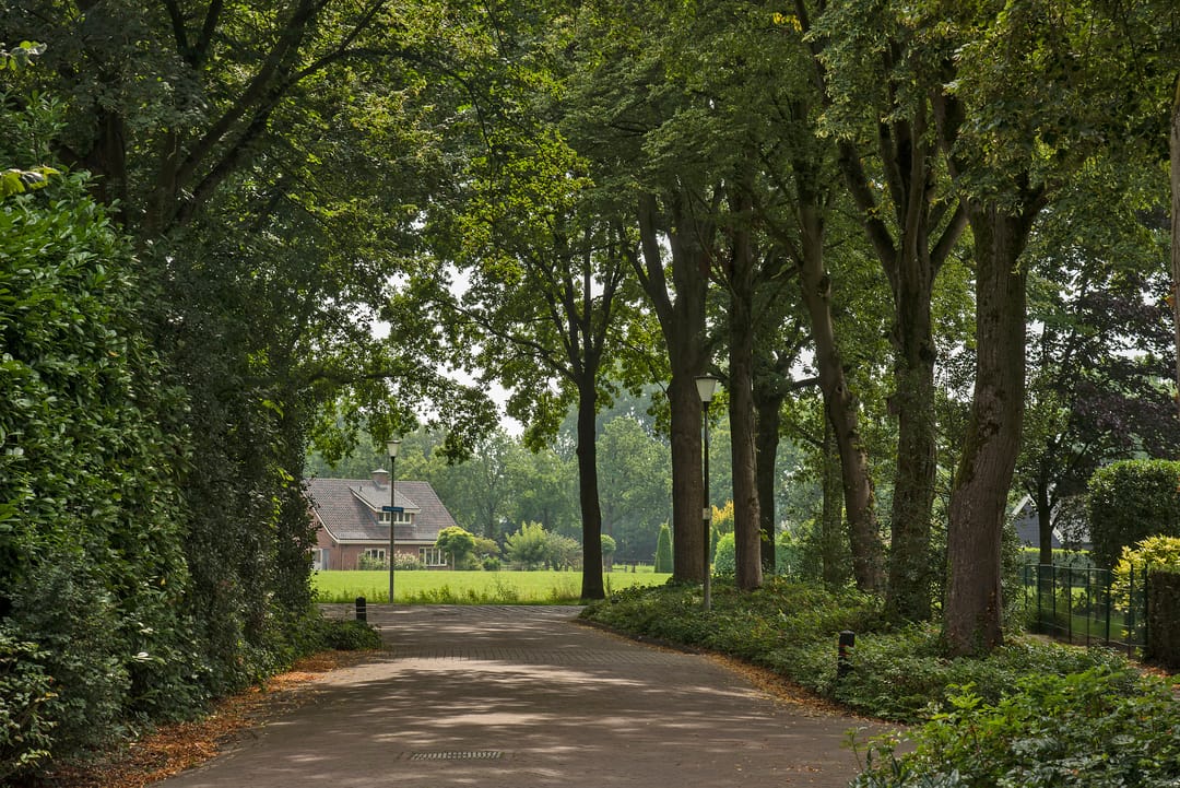 Foto 38 van Bijenlaan 4