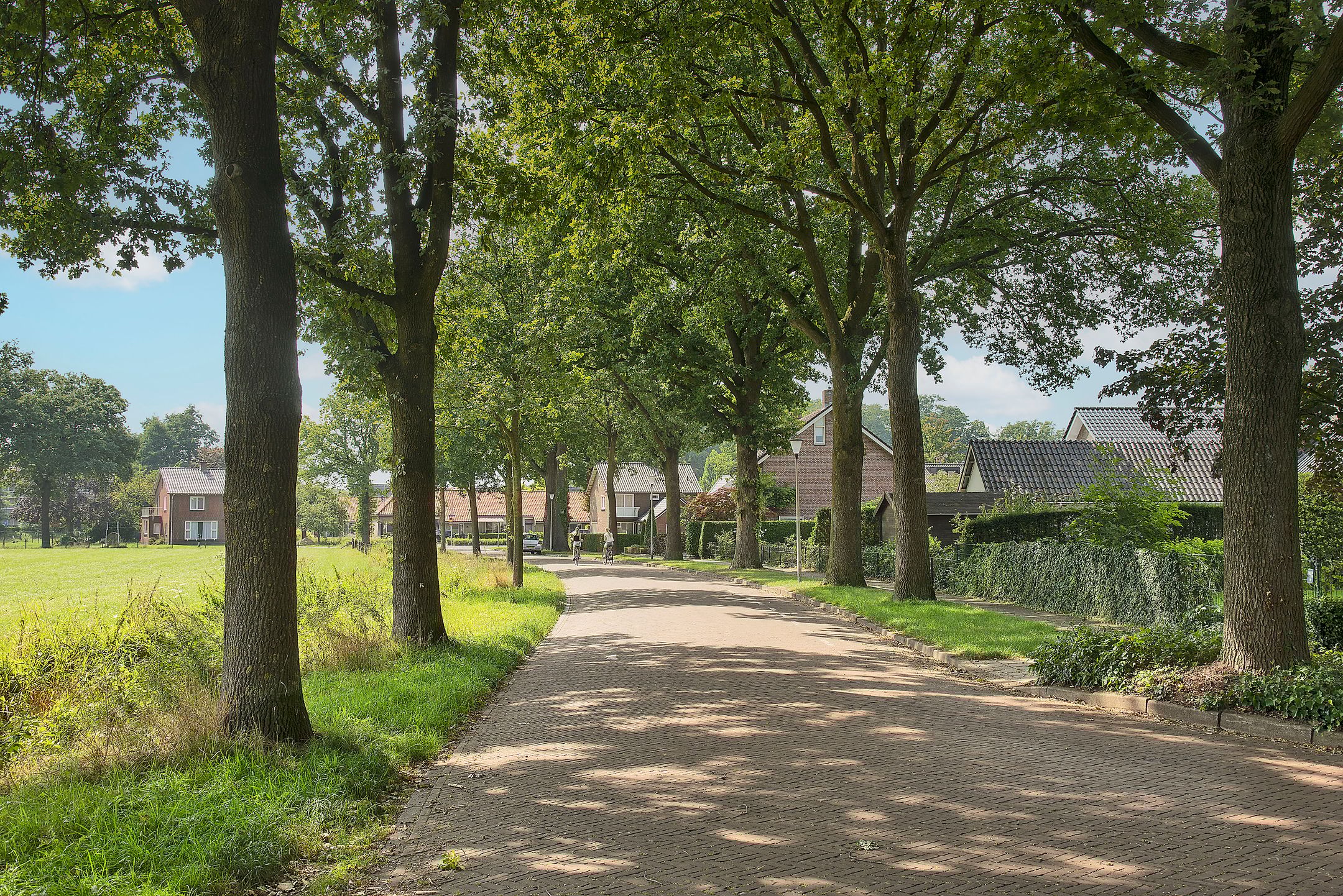 Foto 39 van Bijenlaan 4