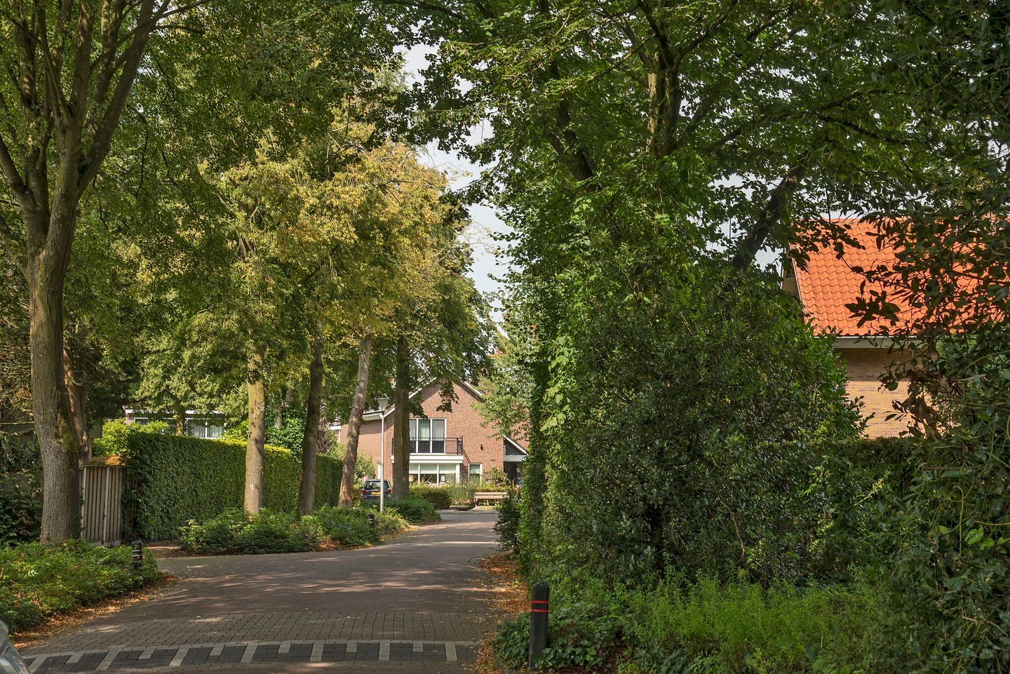 Foto 40 van Bijenlaan 4