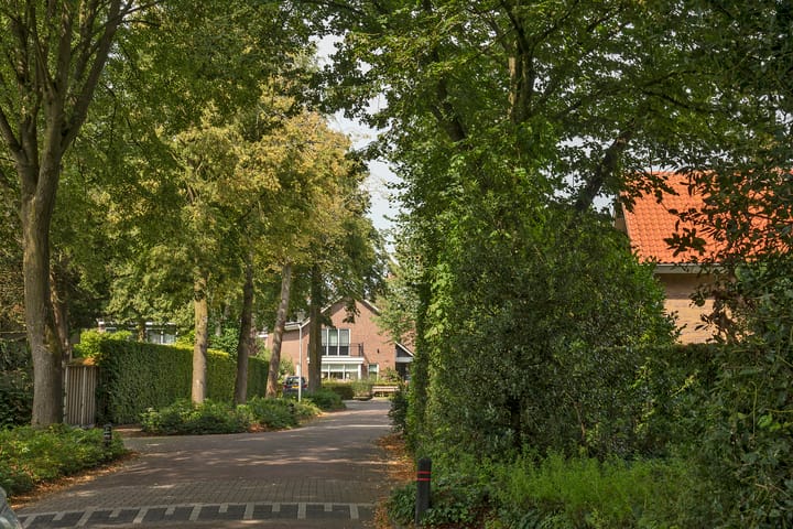 Foto 40 van Bijenlaan 4