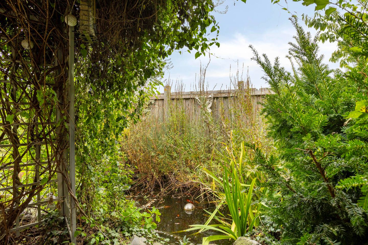 Foto 49 van Meijelseweg 34