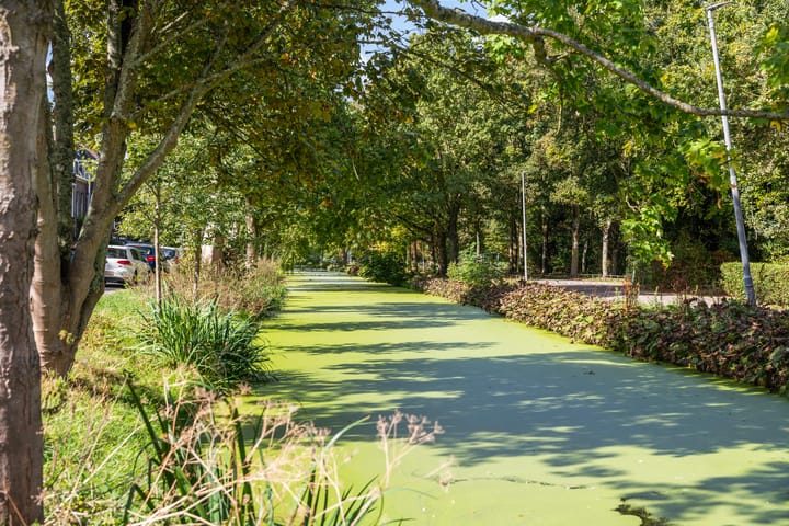 Foto 37 van Uitweg 15-B