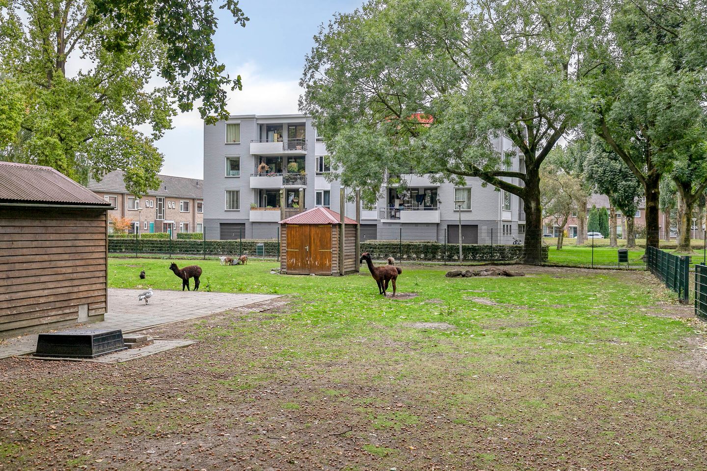 Foto 35 van Mirabelweg 68