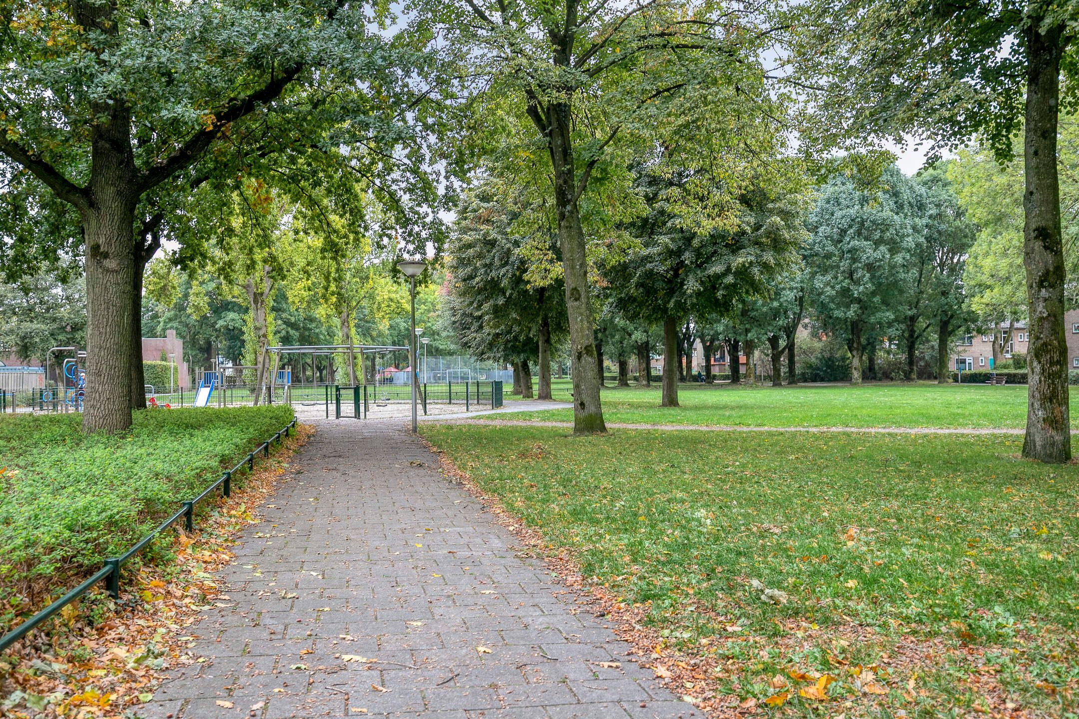 Foto 36 van Mirabelweg 68