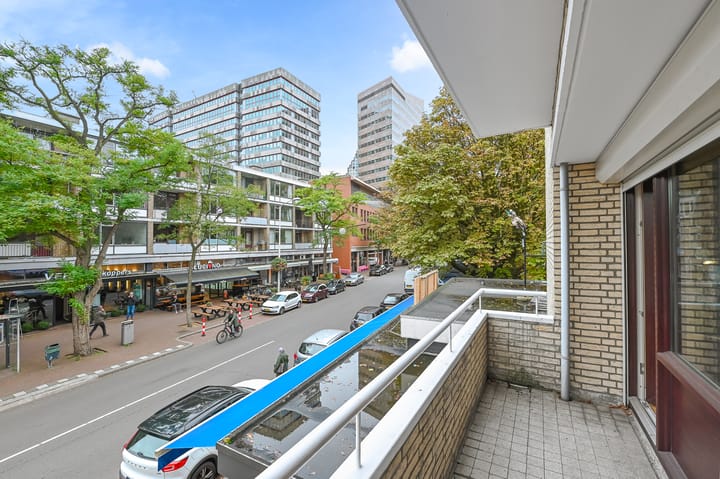 Foto 32 van Theresiastraat 12-A