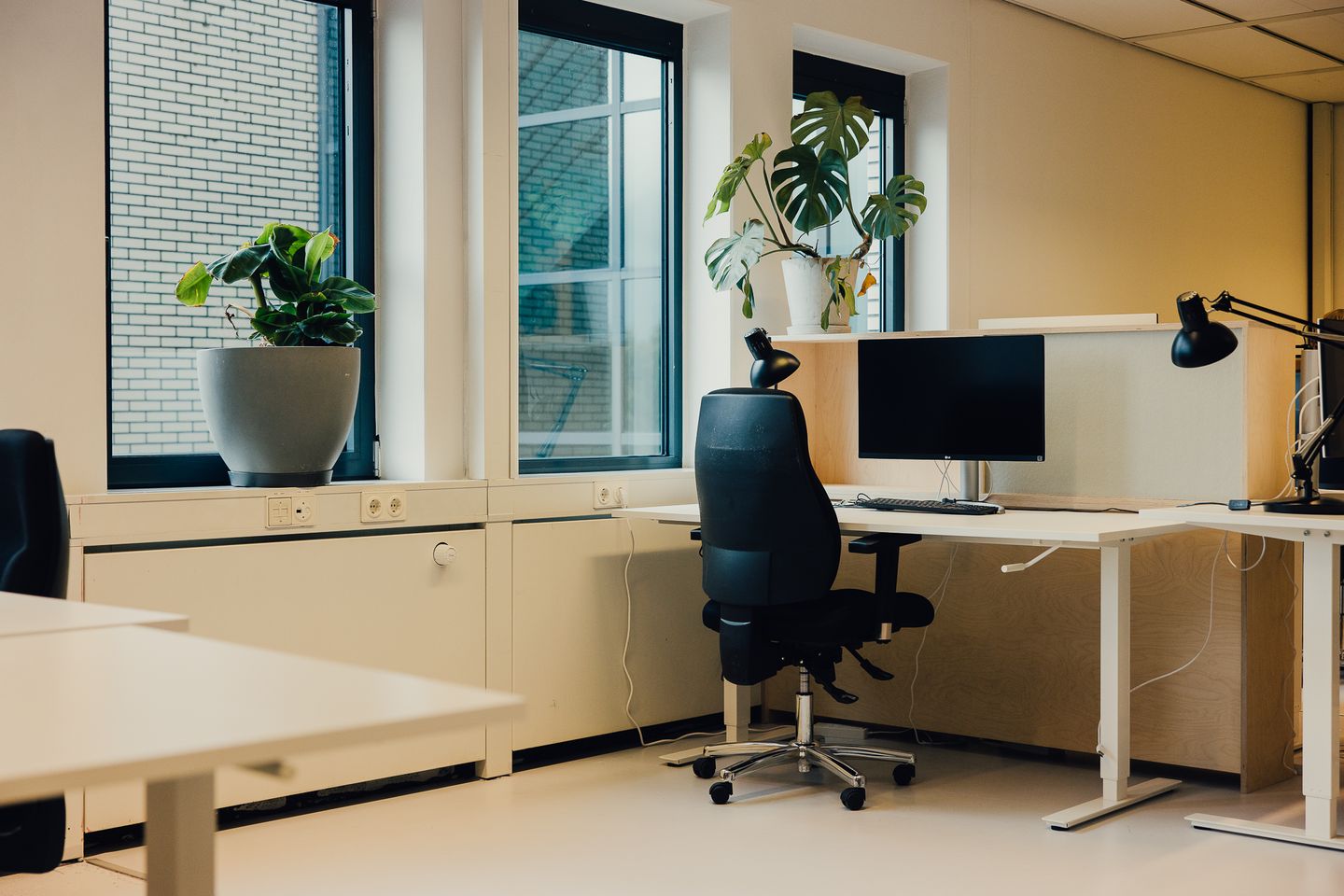 Bekijk foto 5 van IJsbaanpad 2