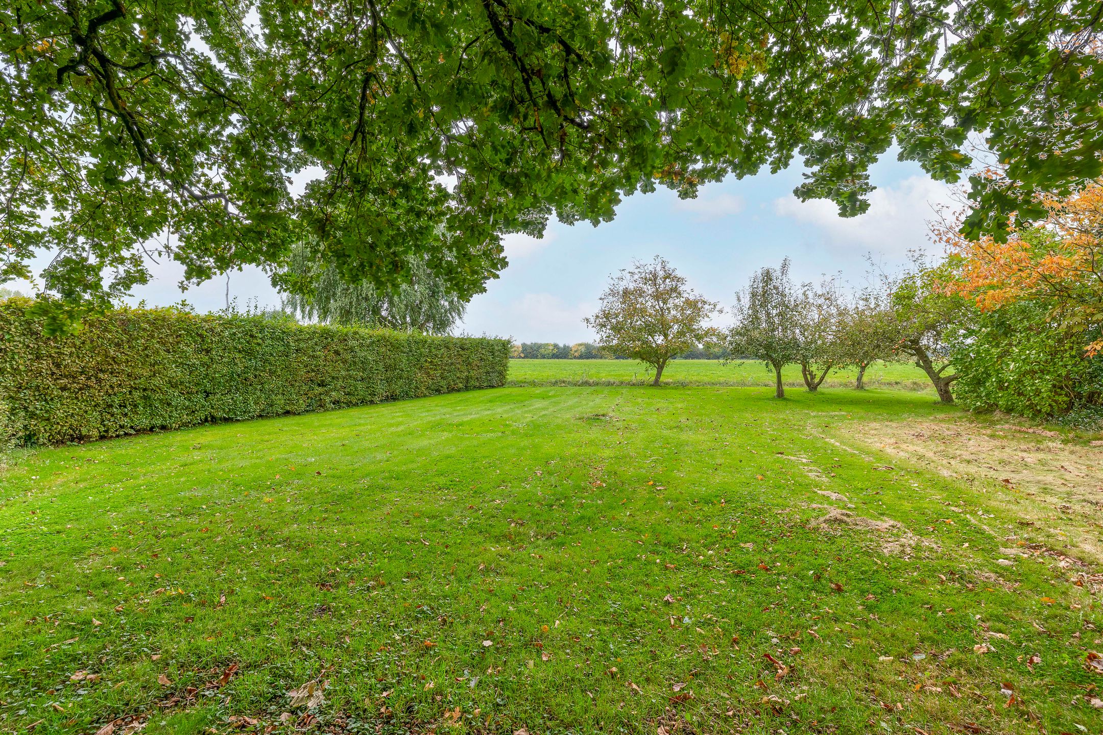 Foto 45 van Binnenweg 5