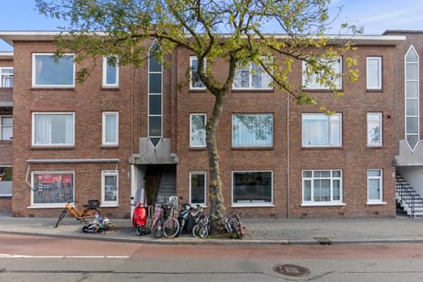 Soestdijksekade thumbnail