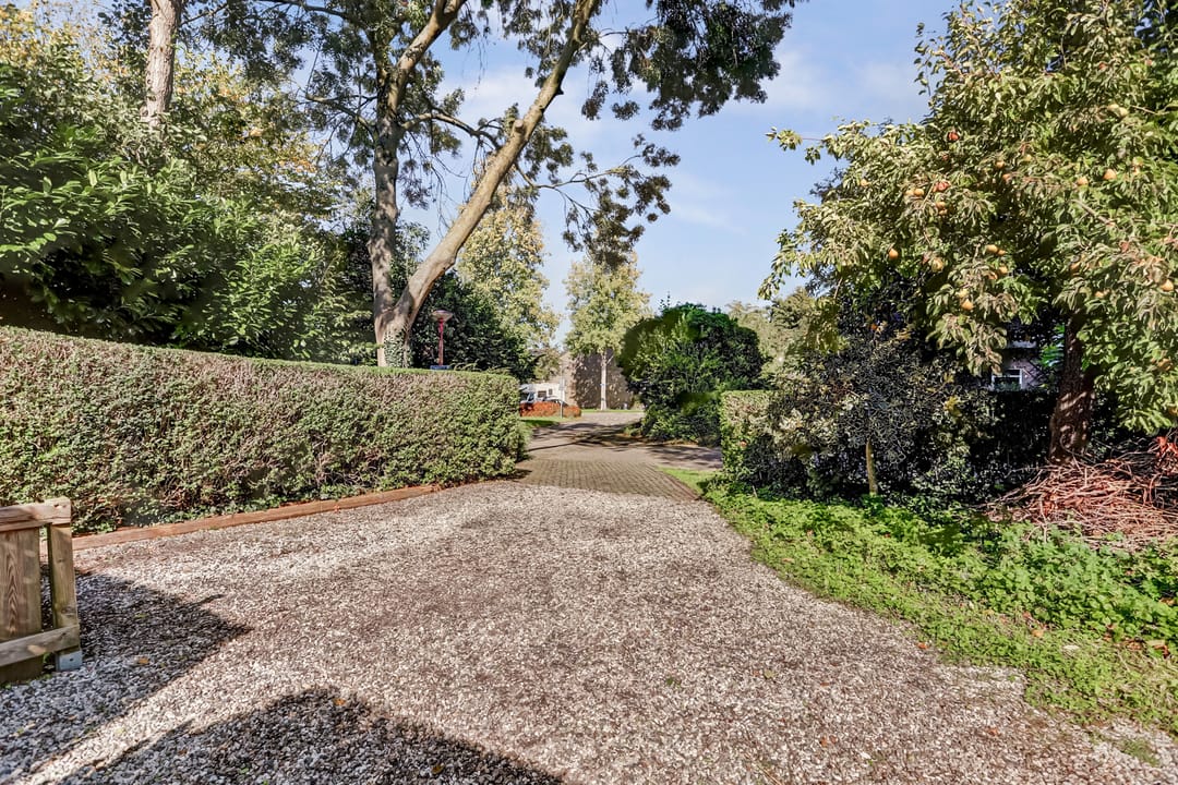 Foto 61 van Puccinihof 2-A