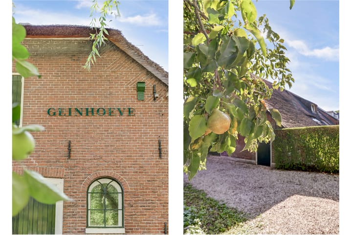 Foto 72 van Puccinihof 2-A