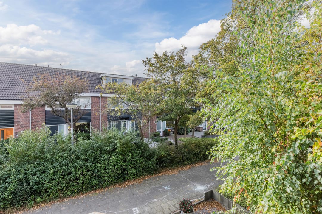 Foto 46 van Titus Brandsmastraat 12