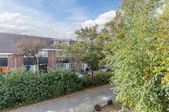 Photo 46 of Titus Brandsmastraat 12