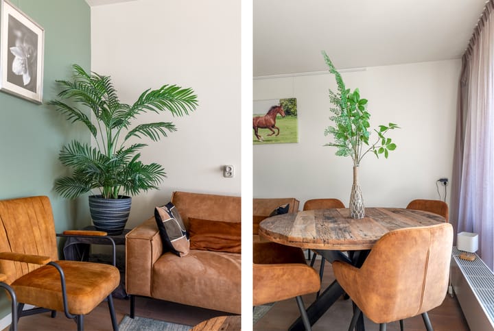 Foto 8 van Dalenbeek 19