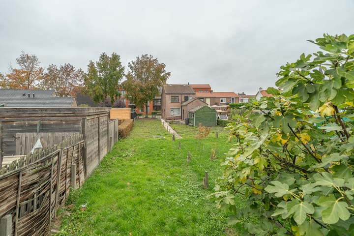 Foto 3 van Schotwal 14