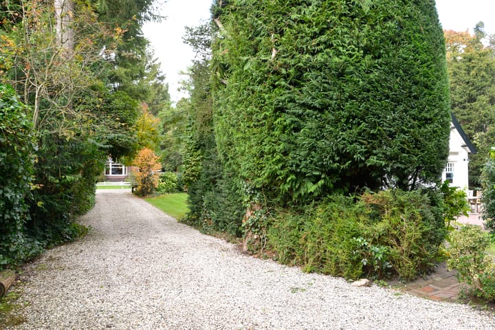 Foto 4 van Surinamelaan 5