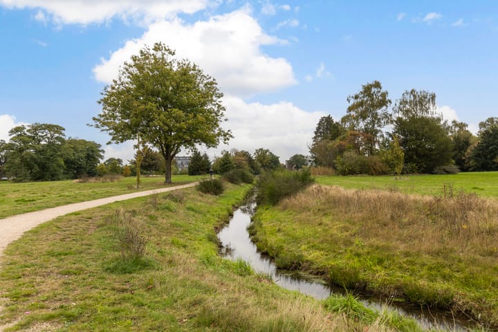 Foto 4 van Albardastraat 112