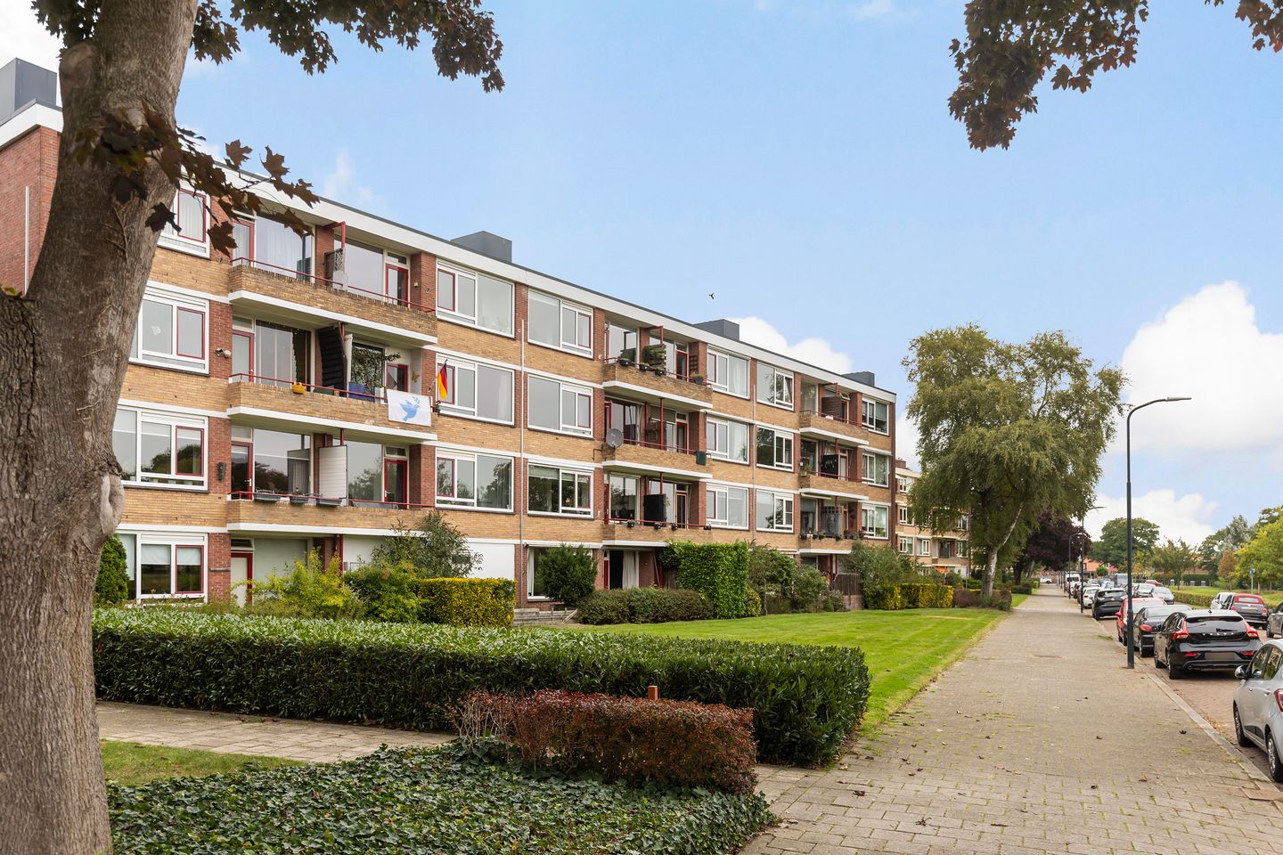 Foto 5 van Albardastraat 112