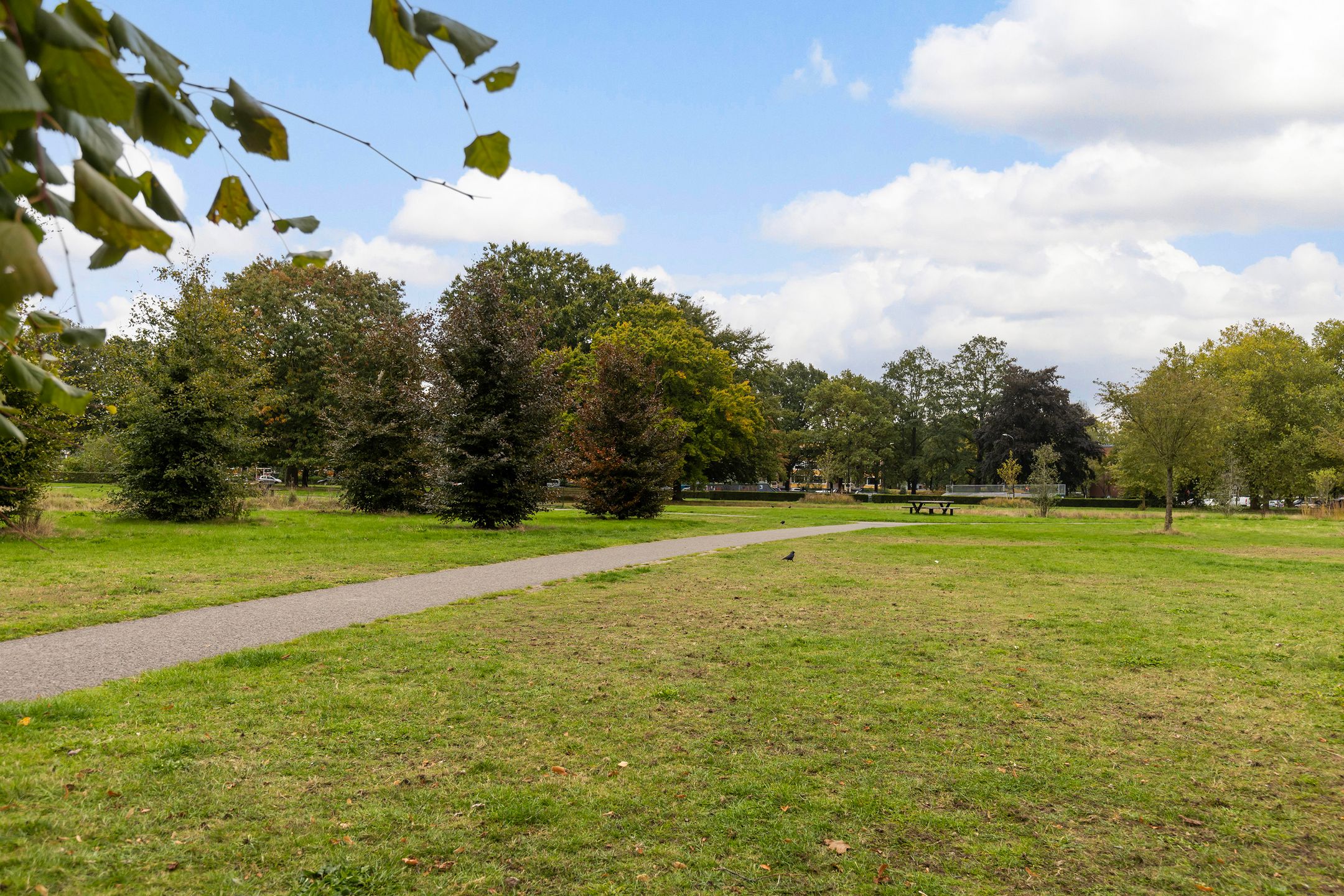 Foto 30 van Albardastraat 112