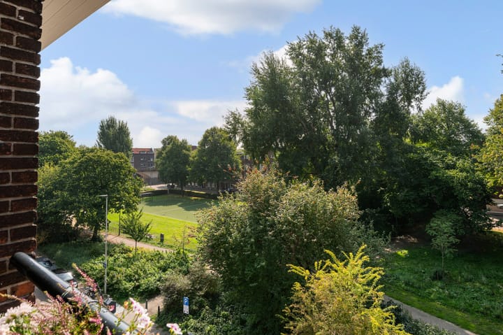 Foto 48 van Tak van Poortvlietstraat 29-B01