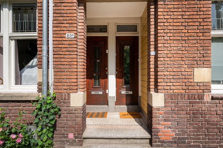 Foto 60 van Tak van Poortvlietstraat 29-B01