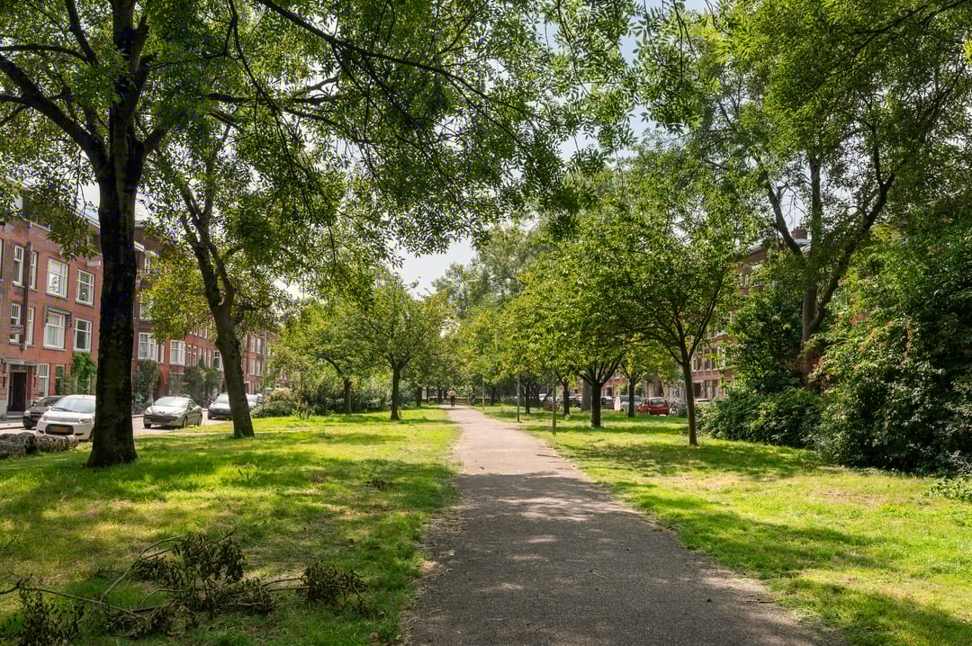 Foto 68 van Tak van Poortvlietstraat 29-B01