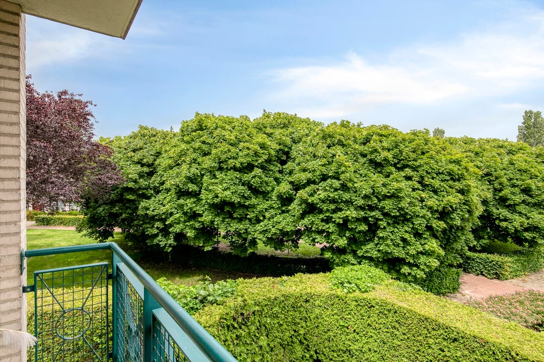 Foto 23 van Schout van Herenthalsplein 26