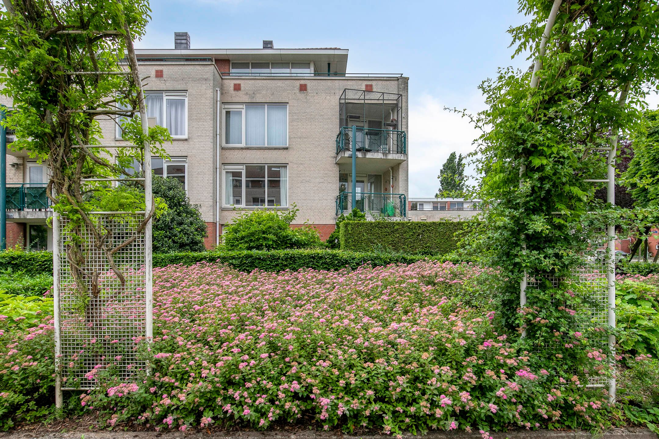 Foto 30 van Schout van Herenthalsplein 26