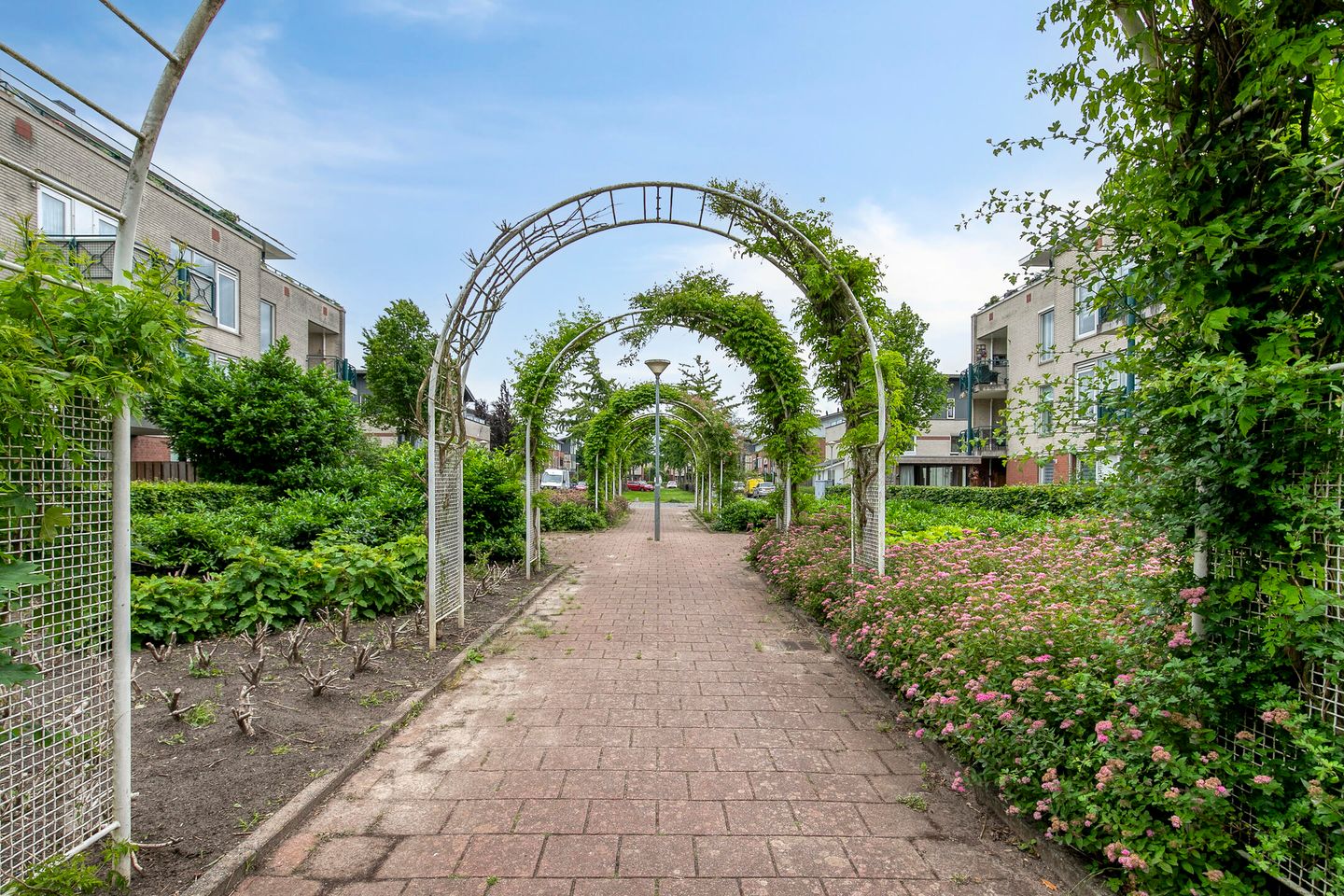 Foto 35 van Schout van Herenthalsplein 26