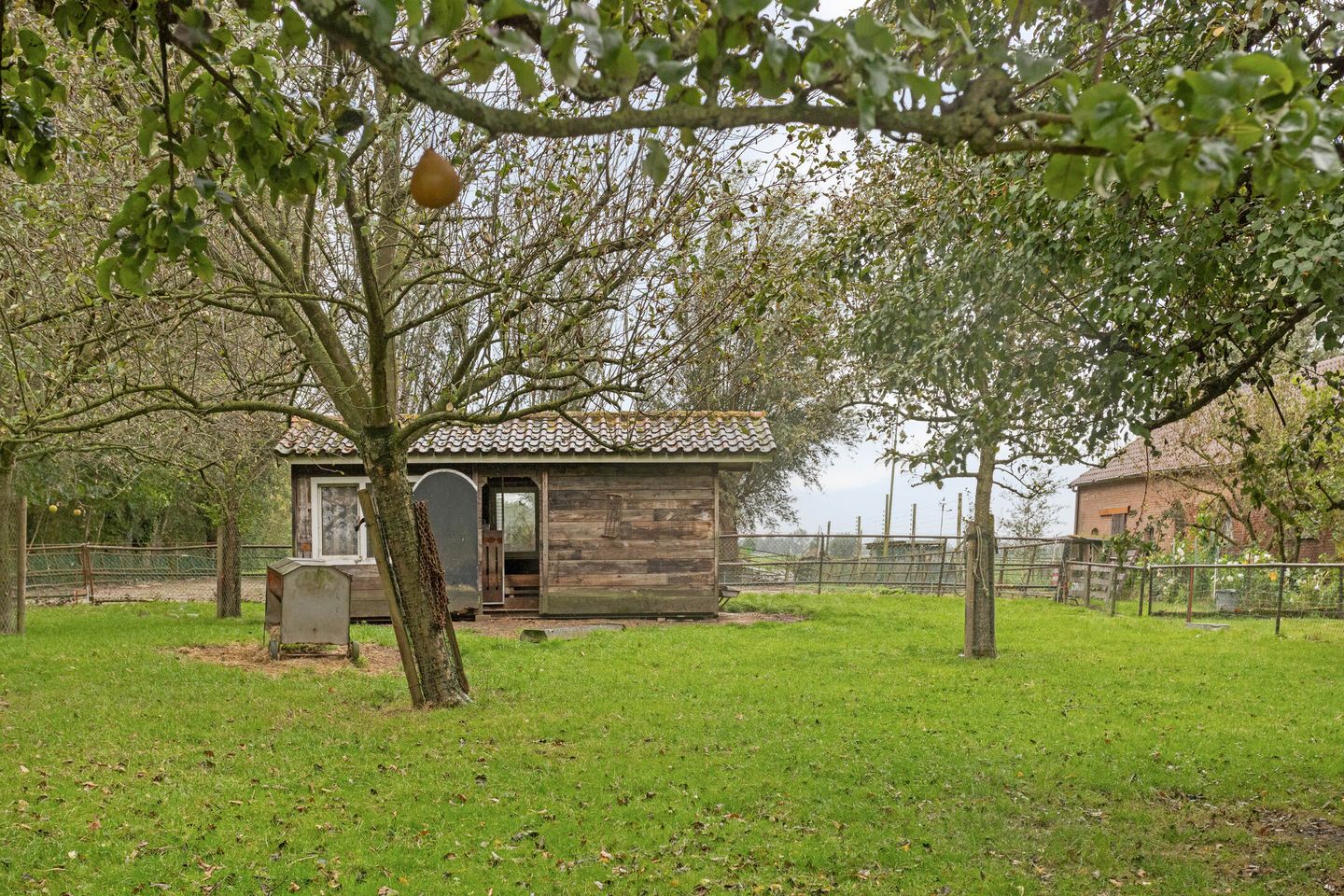 Foto 49 van Haanwijk 7