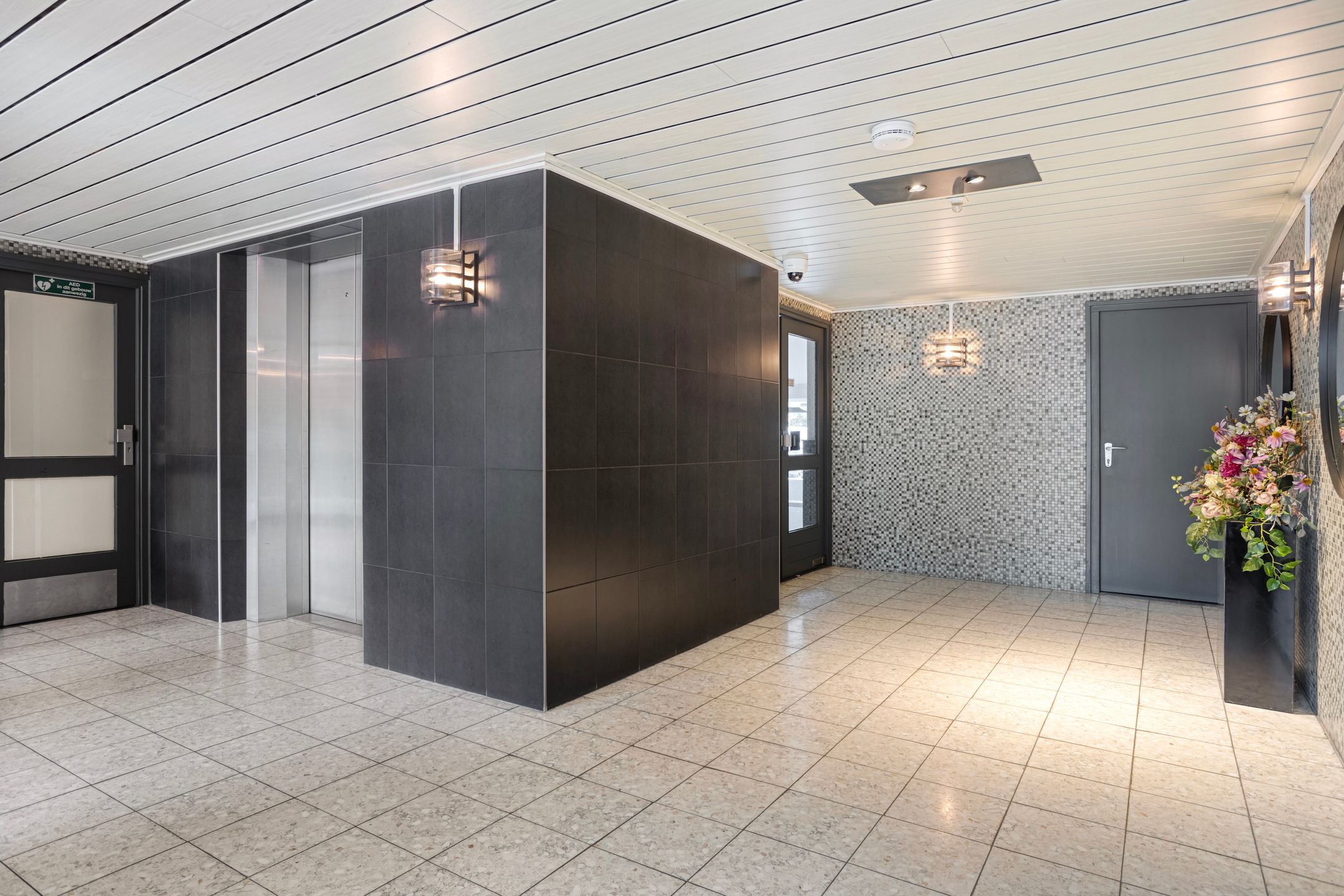 Photo 6 of Grote Spie 175