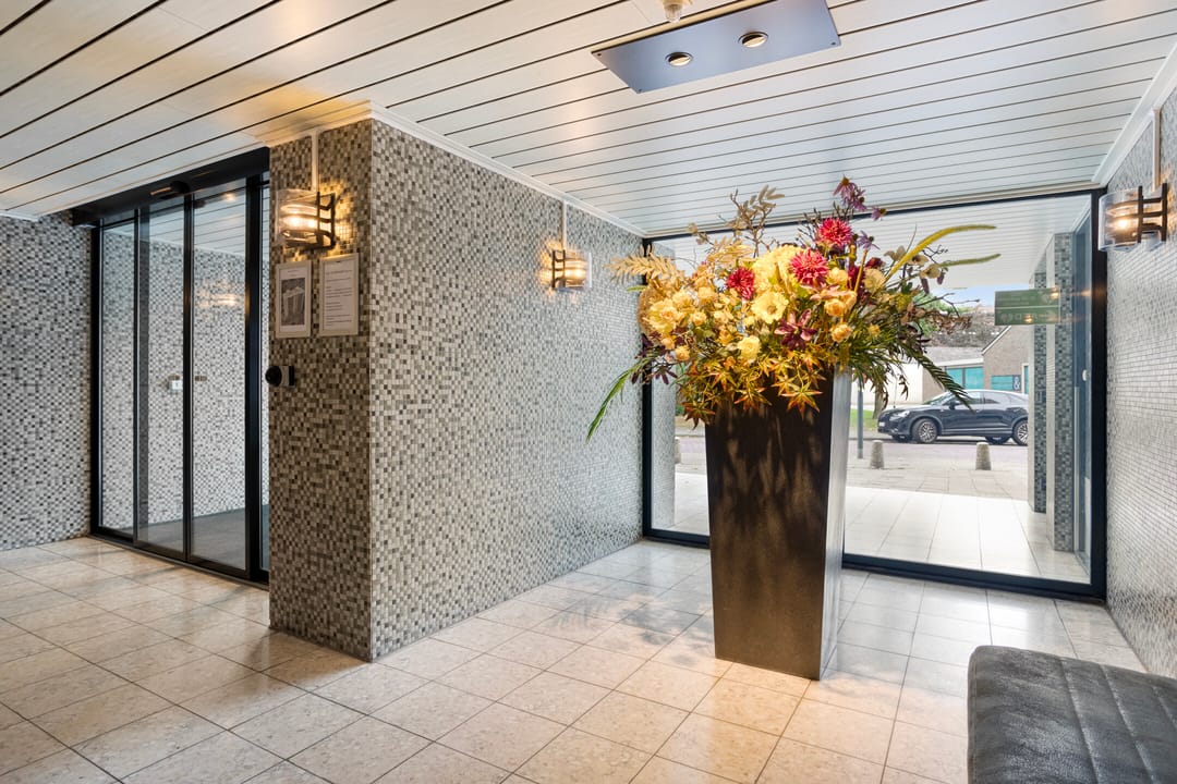 Photo 7 of Grote Spie 175