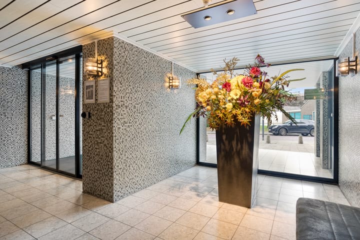 Photo 7 of Grote Spie 175